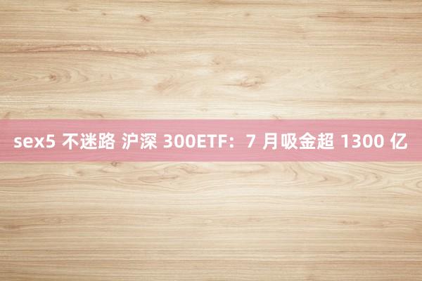 sex5 不迷路 沪深 300ETF：7 月吸金超 1300 亿