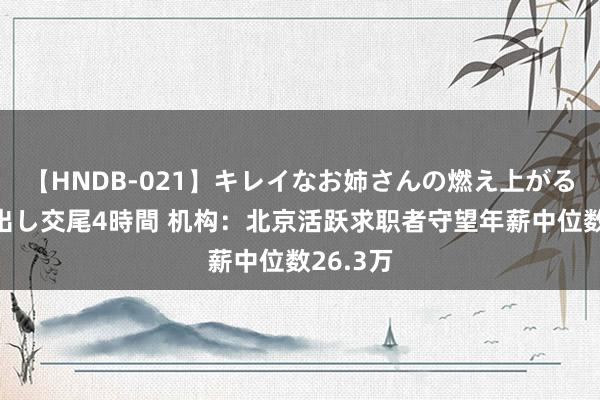 【HNDB-021】キレイなお姉さんの燃え上がる本物中出し交尾4時間 机构：北京活跃求职者守望年薪中位数26.3万