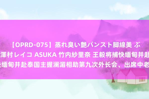 【OPRD-075】蒸れ臭い艶パンスト脚線美 ぶっかけゴックン大乱交 澤村レイコ ASUKA 竹内紗里奈 王毅将捕快缅甸并赴泰国主握澜湄相助第九次外长会、出席中老缅泰外长非厚爱会晤